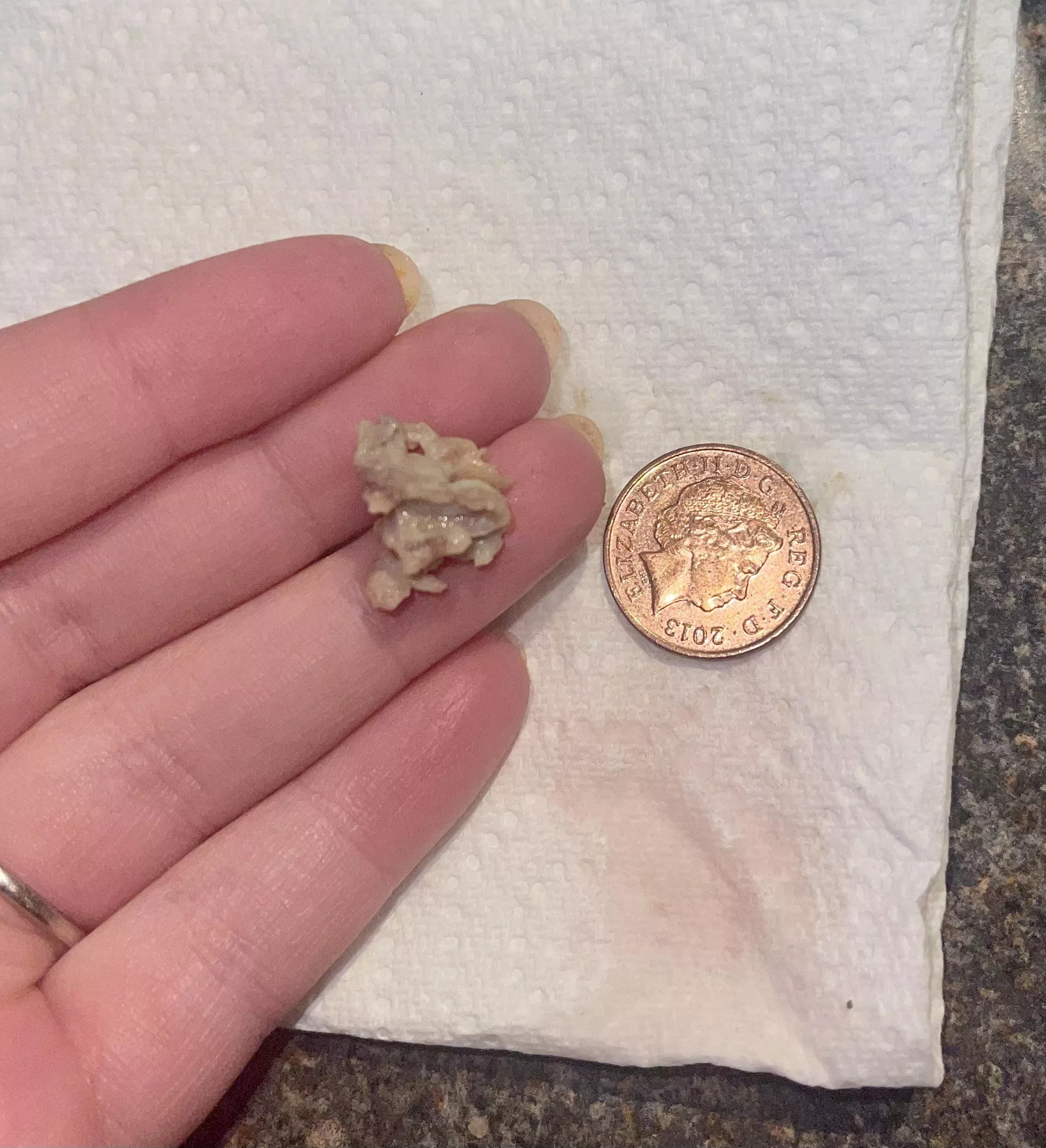 What came out of my mouth?