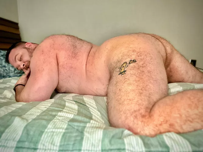 Who wants to go for a ride?