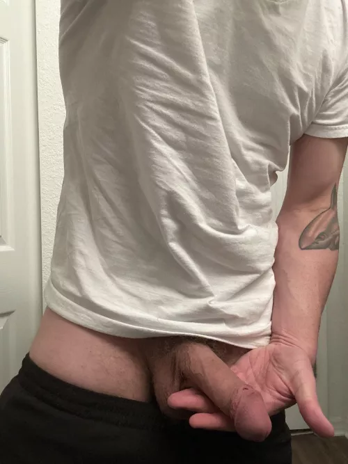 [34] Dad’s Softie