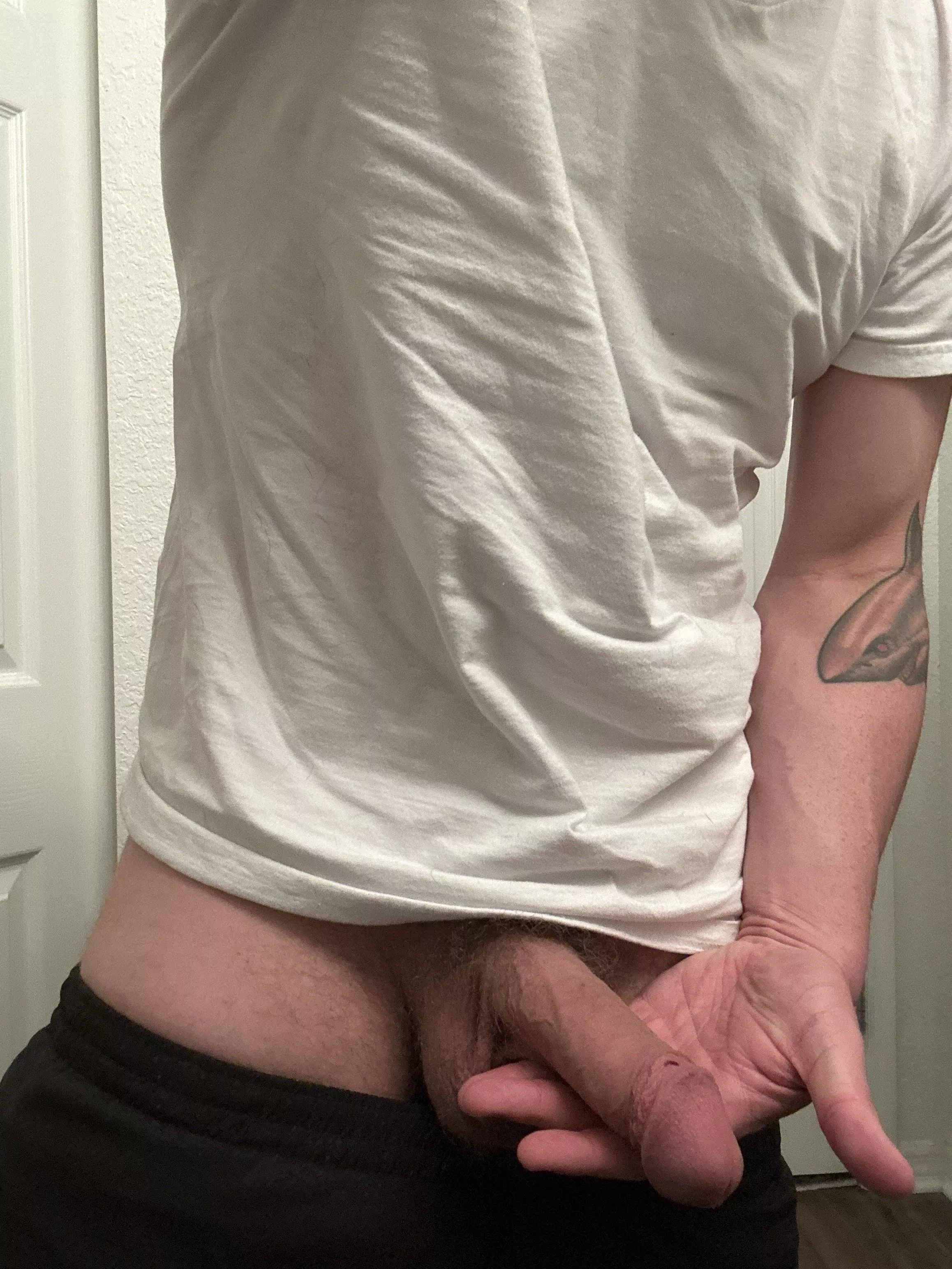 [34] Dad’s Softie