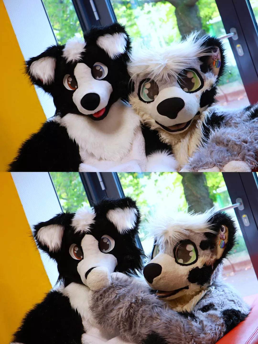 Happy late wednesday my cute floofs <3