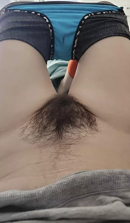 Let me rub my bush all over your face