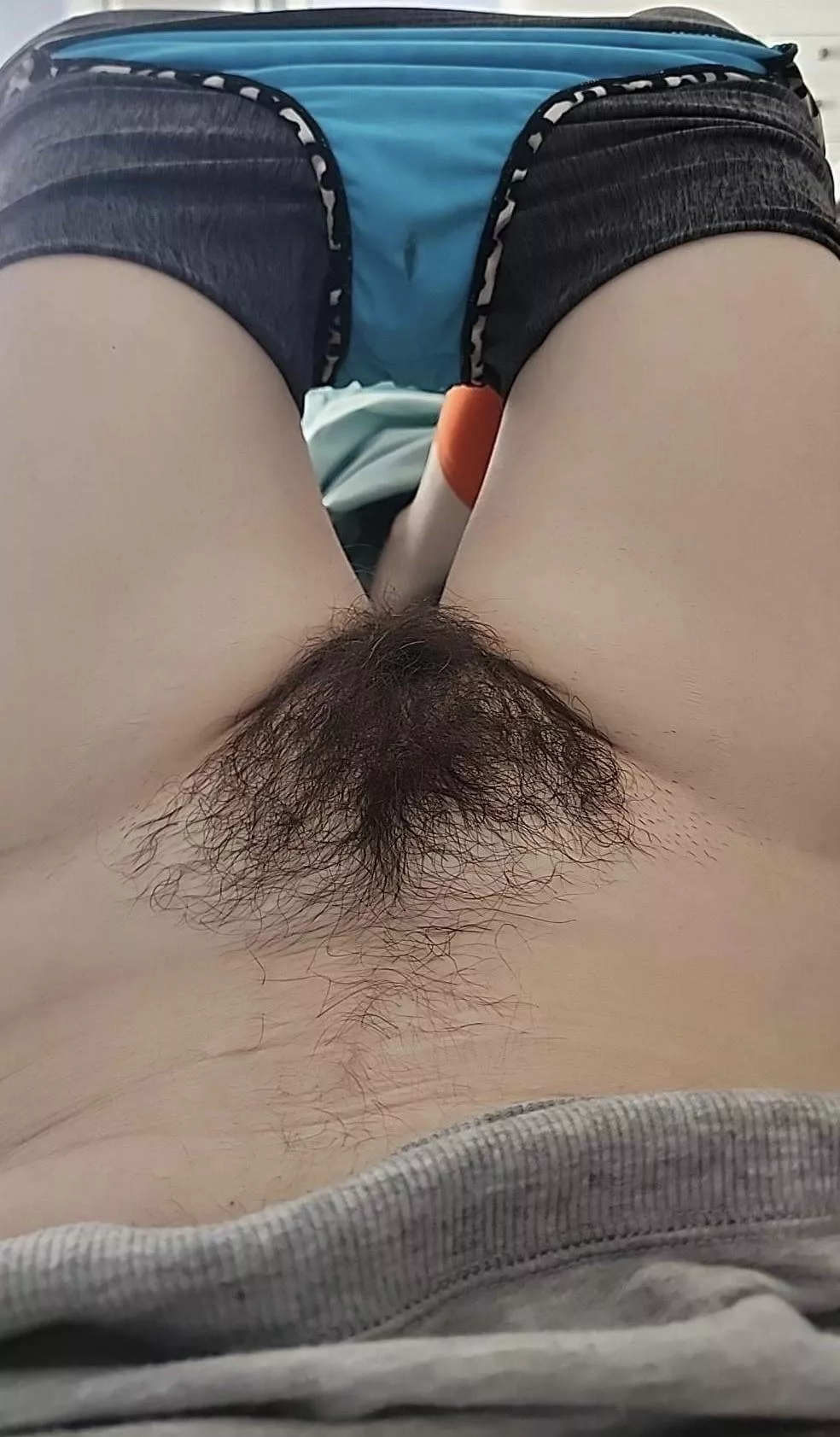 Let me rub my bush all over your face