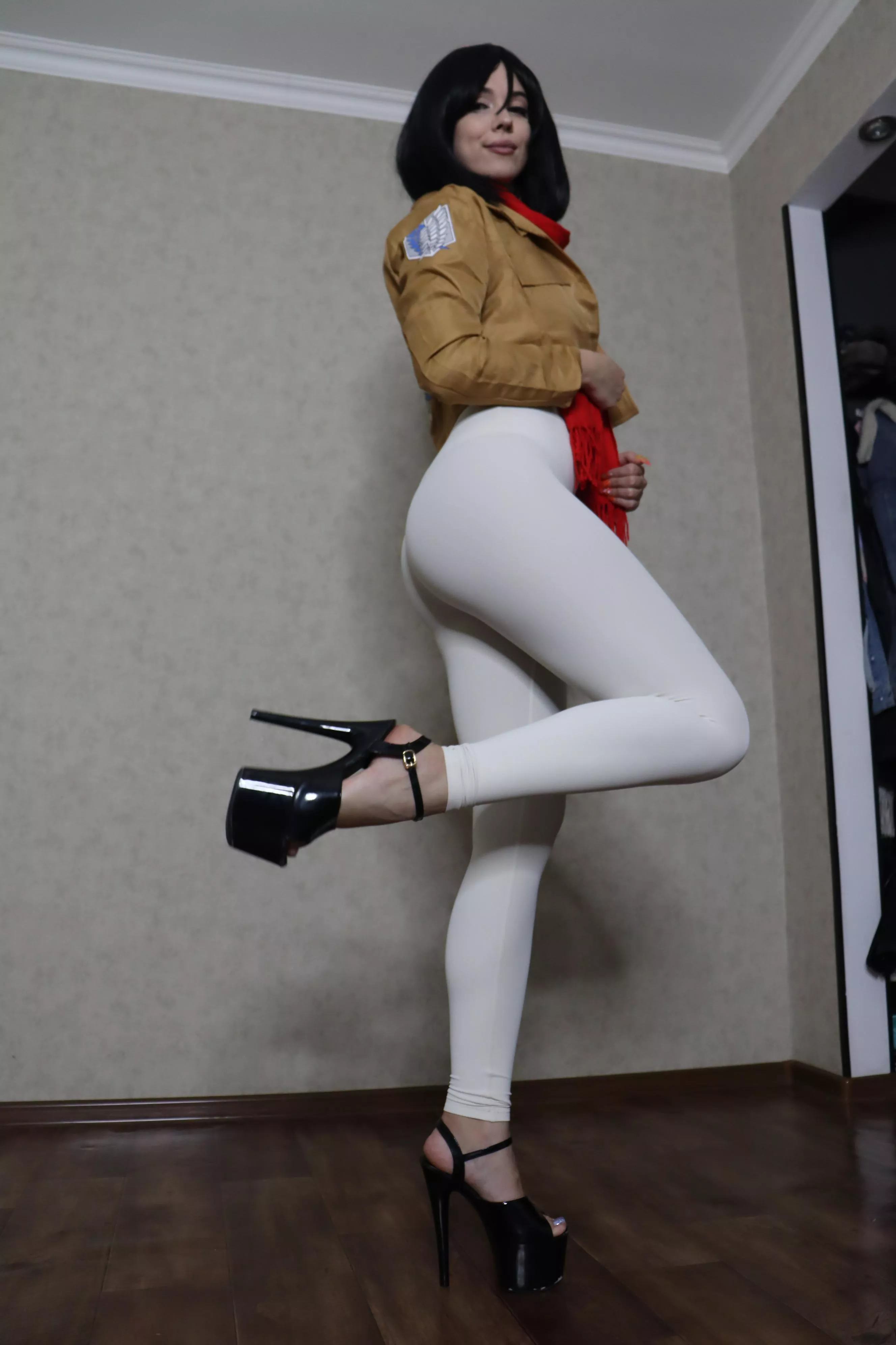 Mikasa Ackerman [AOT] (Fairy Elfie)