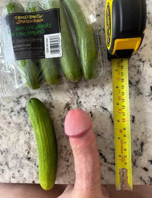 My cock compared to a mini cucumber