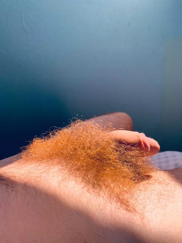 My hairy ginger dong