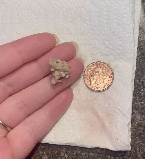 [update] on the thing I birthed from my mouth