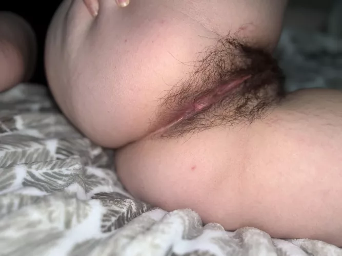 Which one of my [h]airy holes would you fuck first?🙈