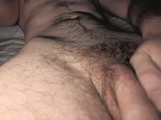 Who wants to play 20q?