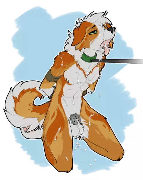 A Good Boy (Ruaidri)