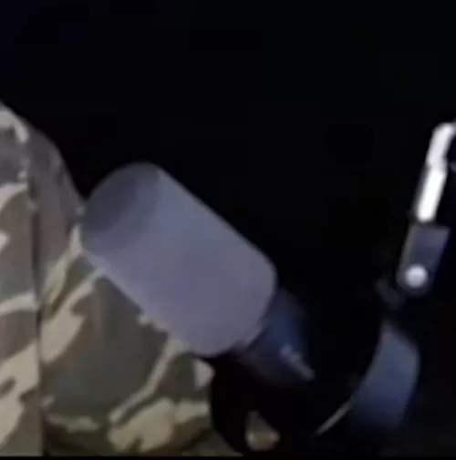 Anyone knows what mic is this?