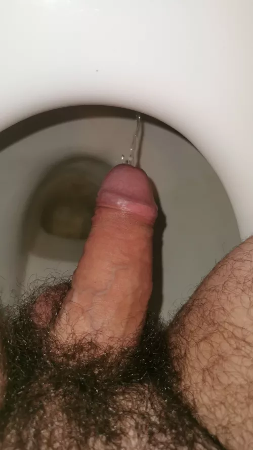 I need another toilet. Do you have a idea? 🤔