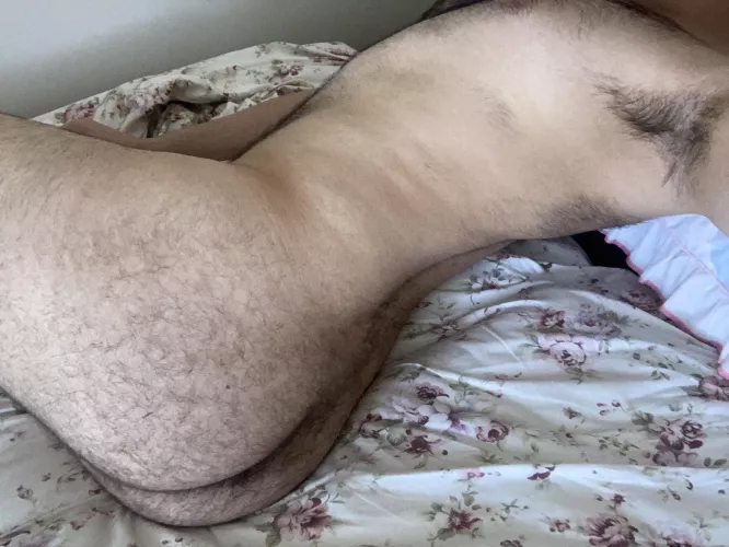 pm if you want to see more of this hairy ass