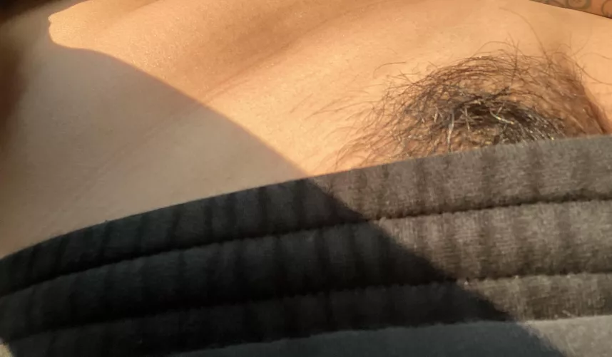 Sunkissed bush anybody?;)