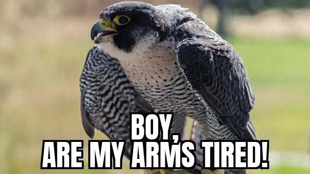 when your mistress has a huge dick when your mistress has a huge dick