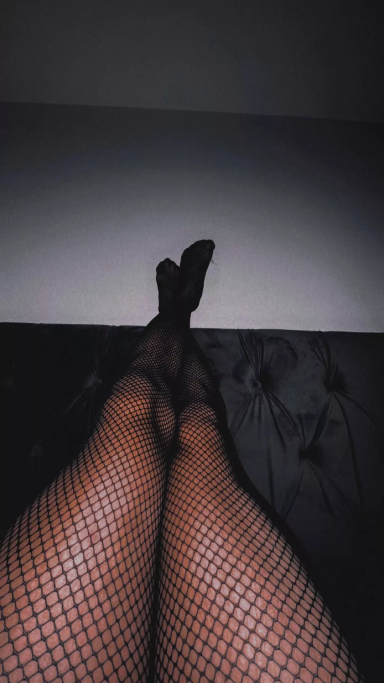 Would you cum on my fishnets?