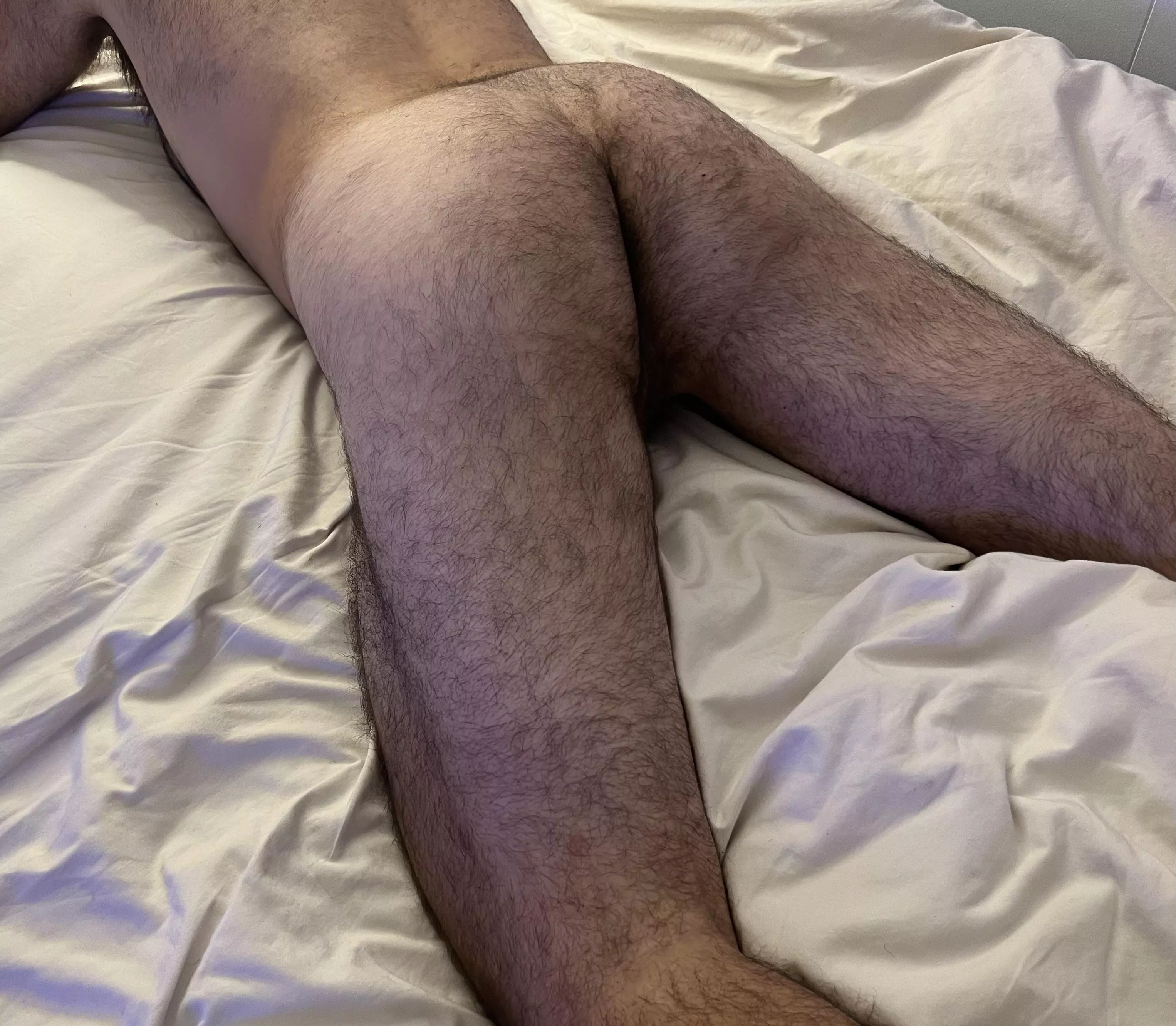 [36] Daddy needs kitten for some grooming time