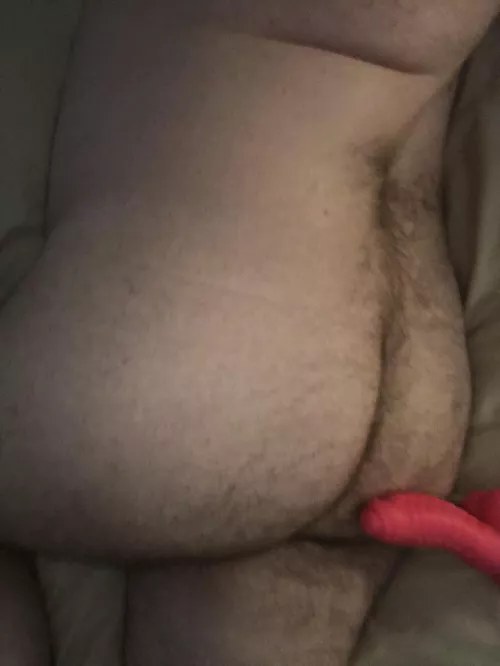 A freshly fucked ass. DMs open