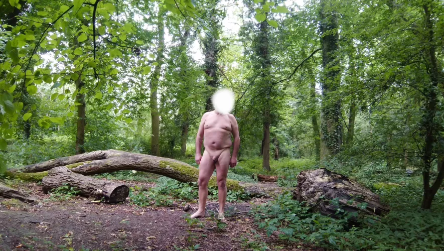 A naked stroll around the woodland