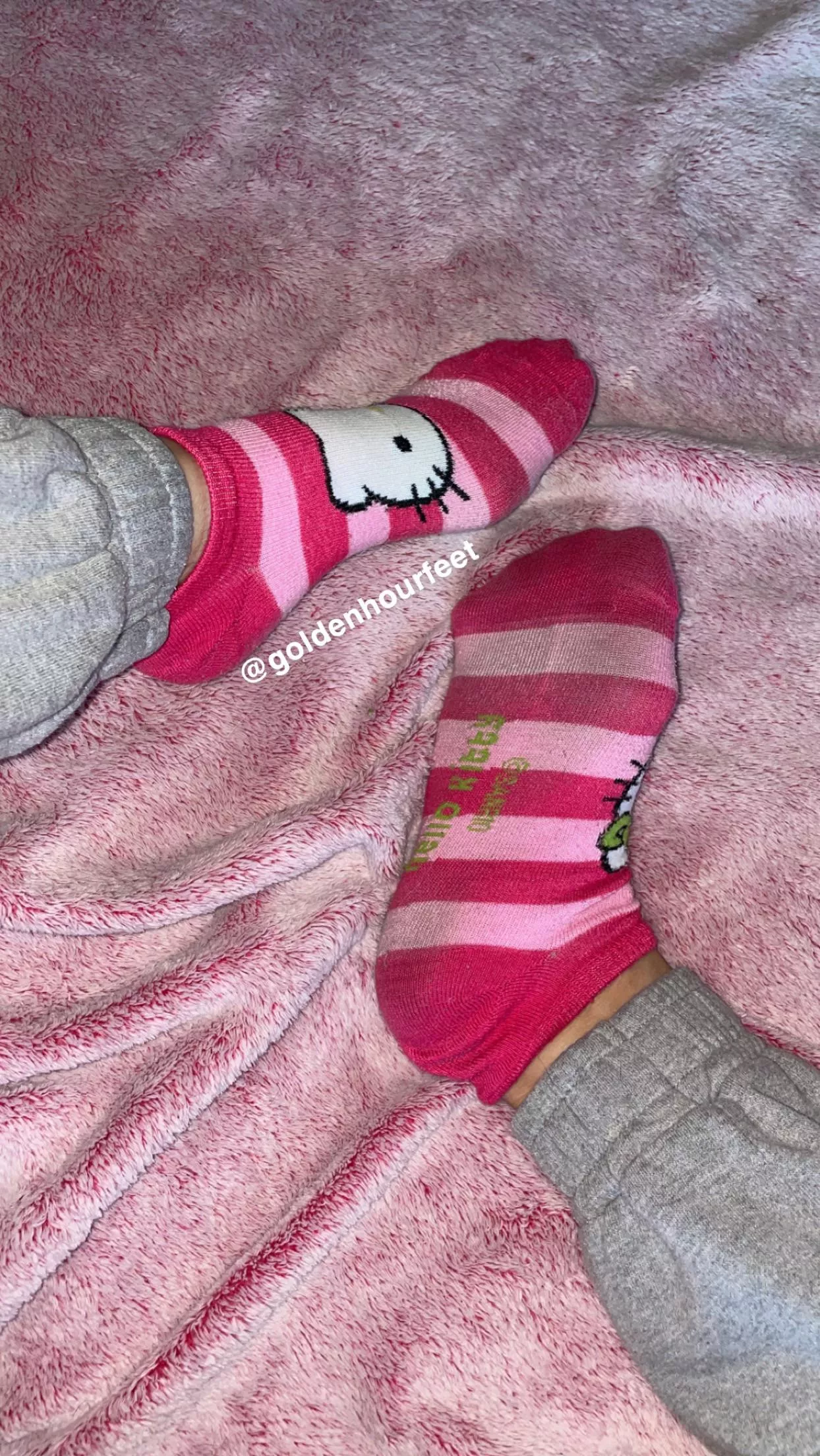 Aren’t these socks so cute?🥰