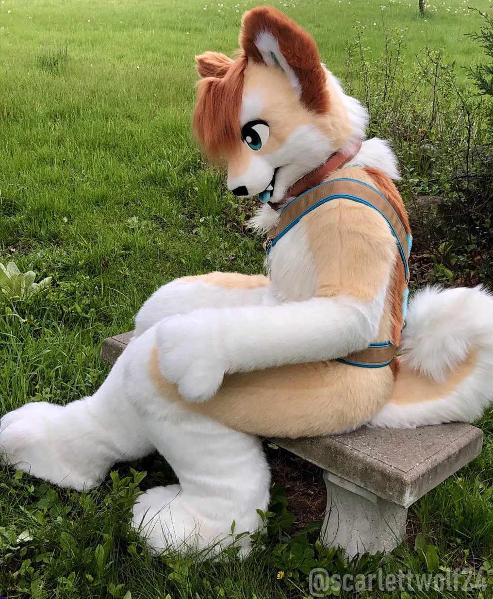 Happy Fursuit Friday! 🐶🐾