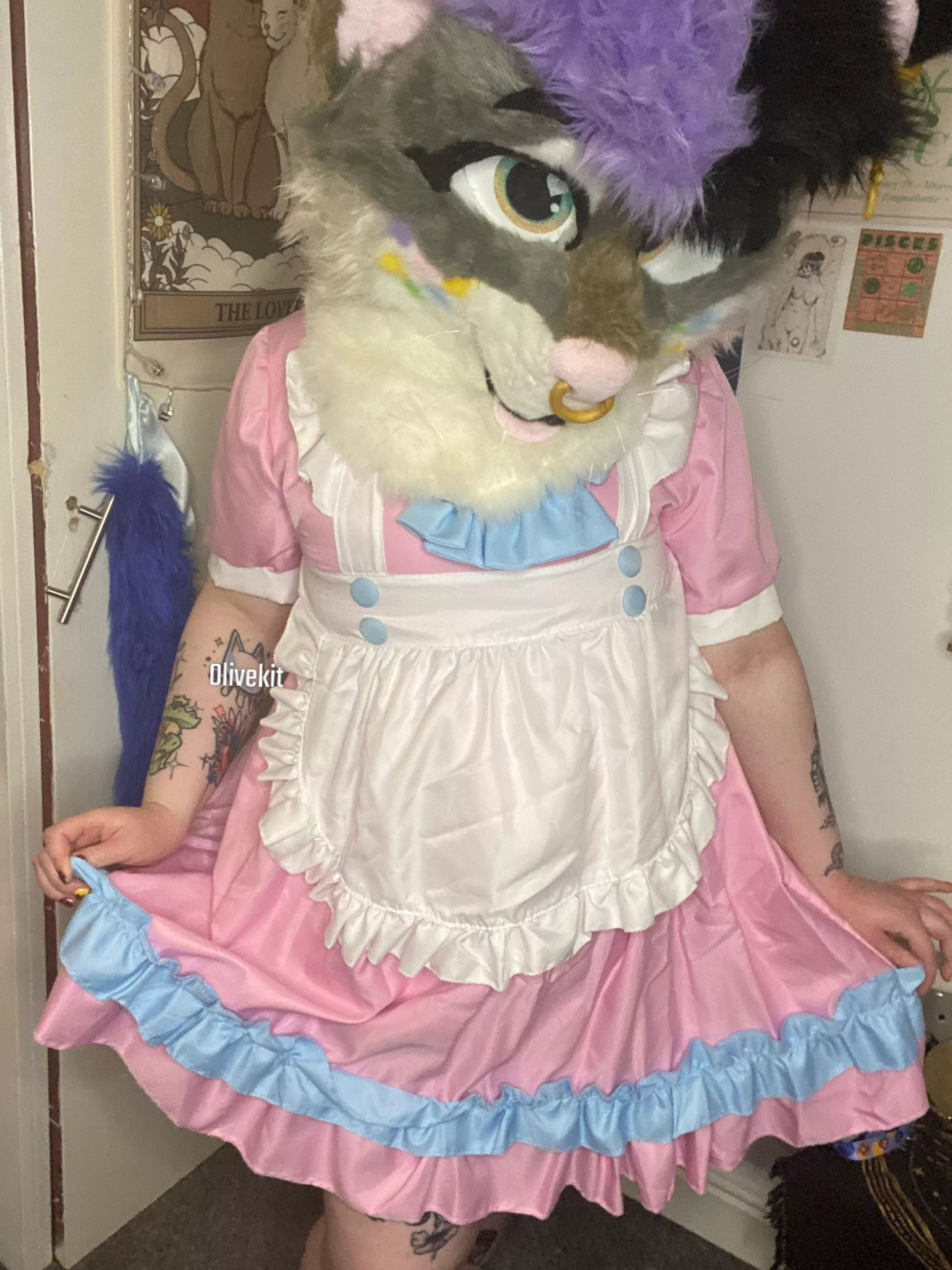 How can this kitty maid serve you?~