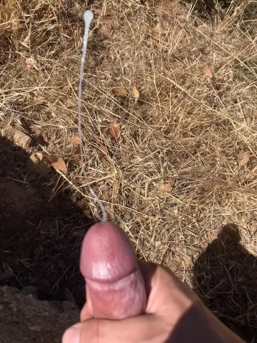 It’s good to get some sun and do some fertilizing.