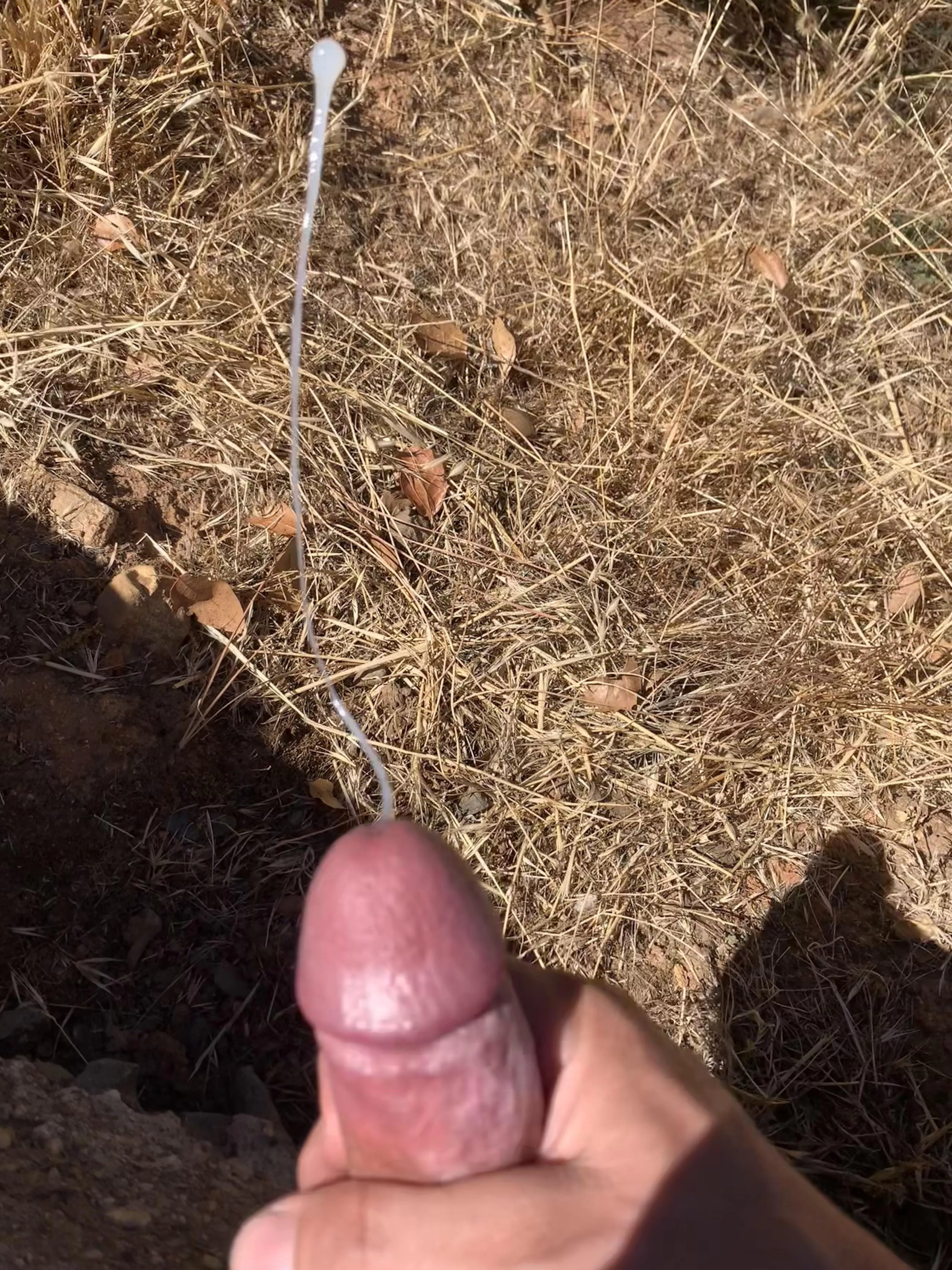 It’s good to get some sun and do some fertilizing.