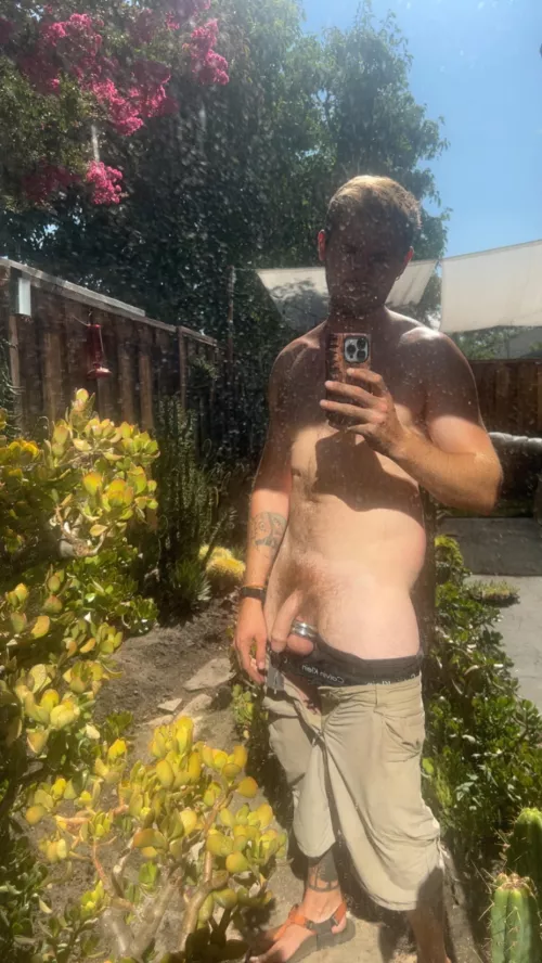 Suck me in the garden?