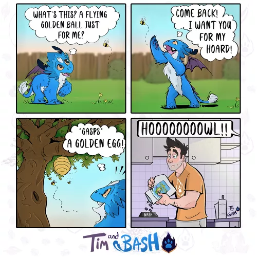 Tim and Bash 🔥The vet saga begins.... 1/5