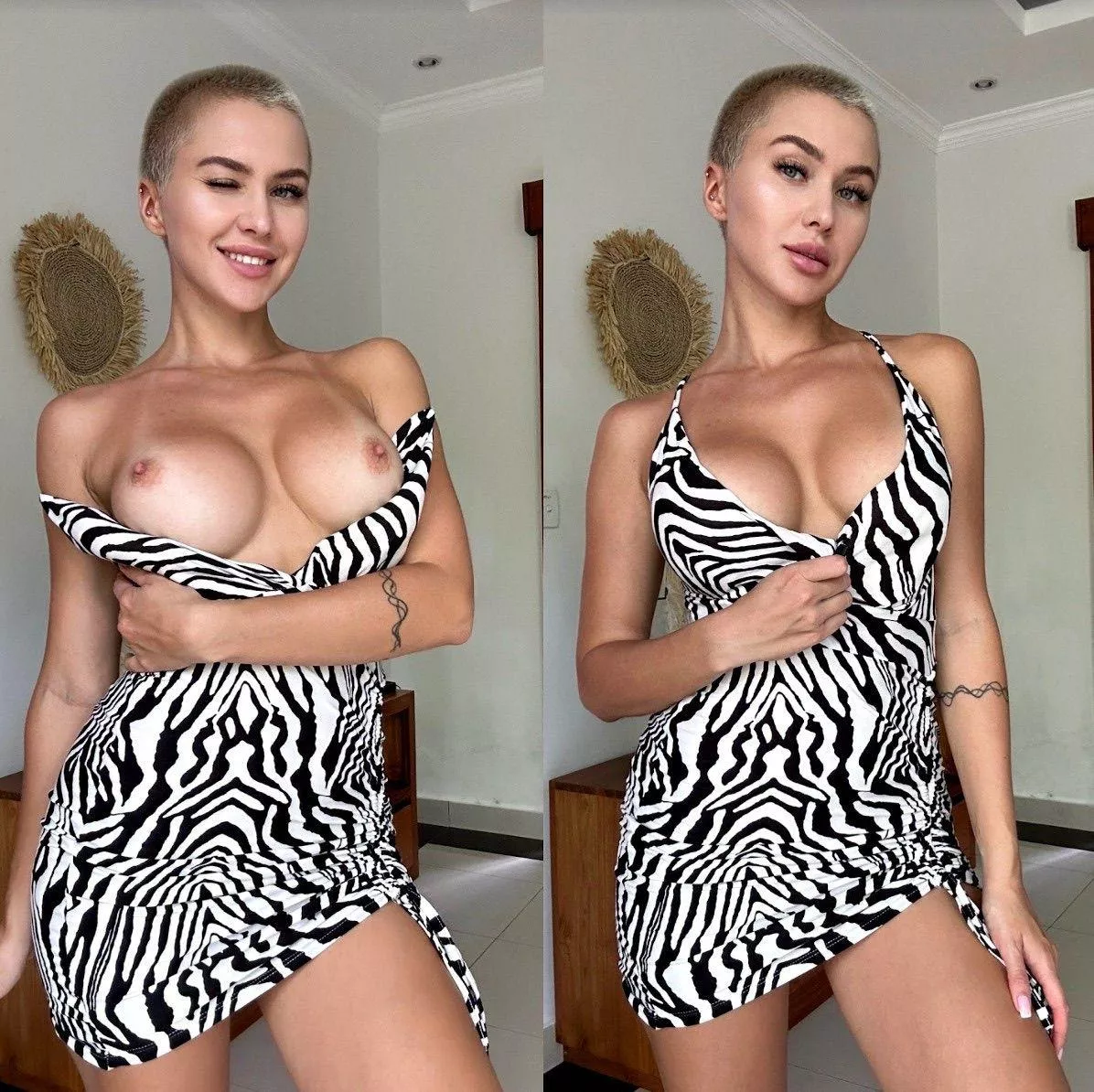 Tonight you’ll see a zebra on safari