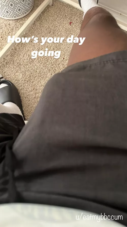 Working from home goes something like this.