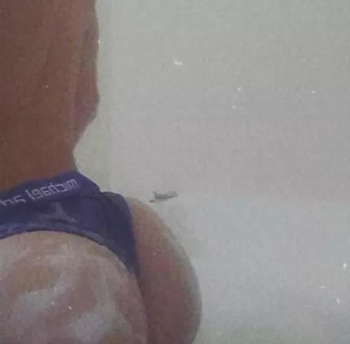 All this ass and I still haven't been pegged