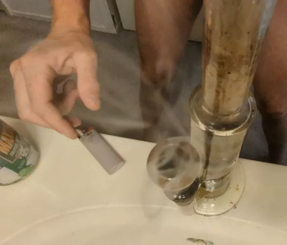 Evening Rips [M]y Ents 🔥🍍😁✌️