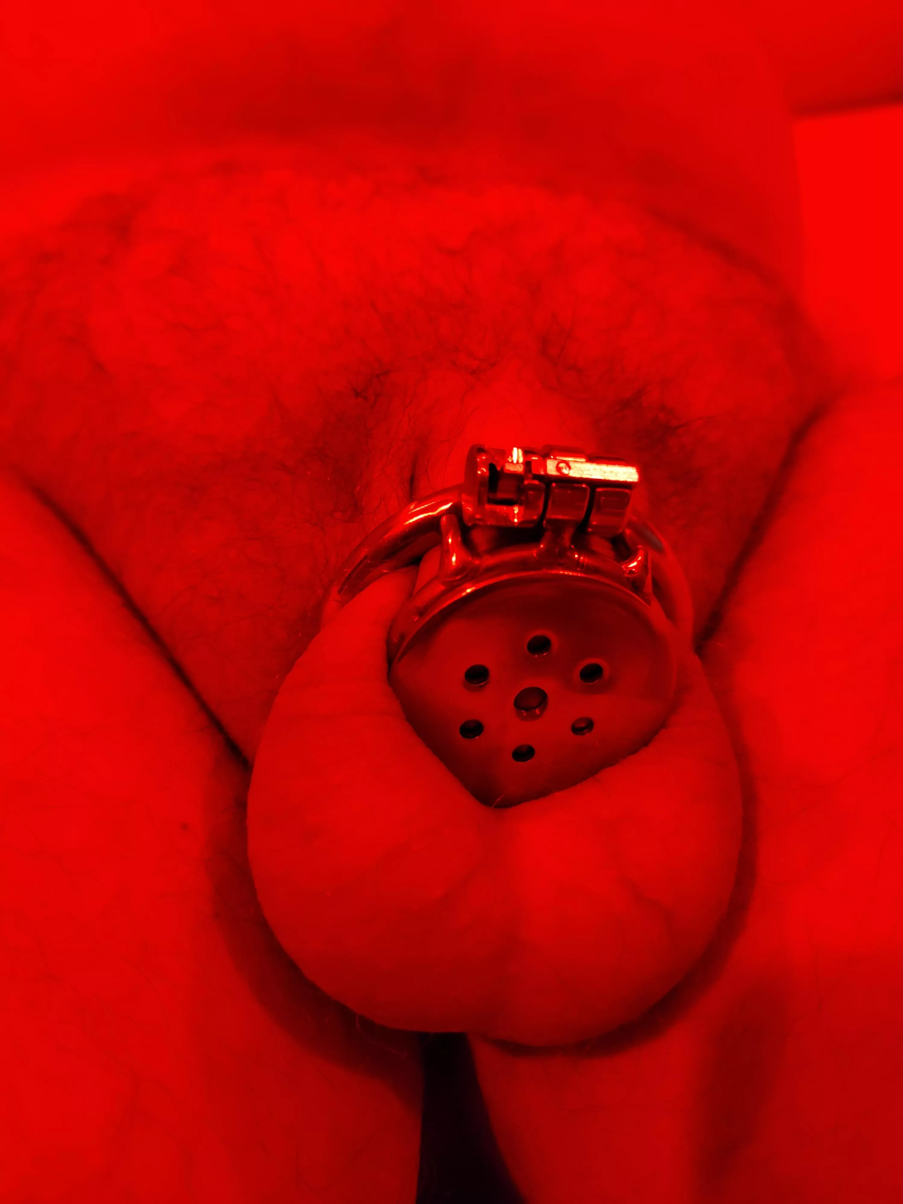 Finally put my good boy in a flat chastity device. Doesn't he look perfect in it? 😍