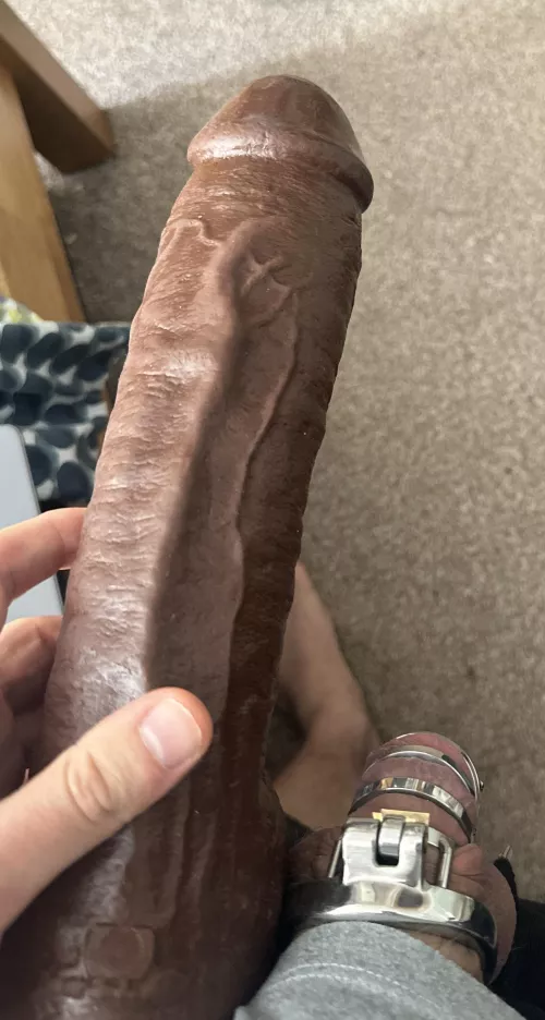 I love comparing sizes