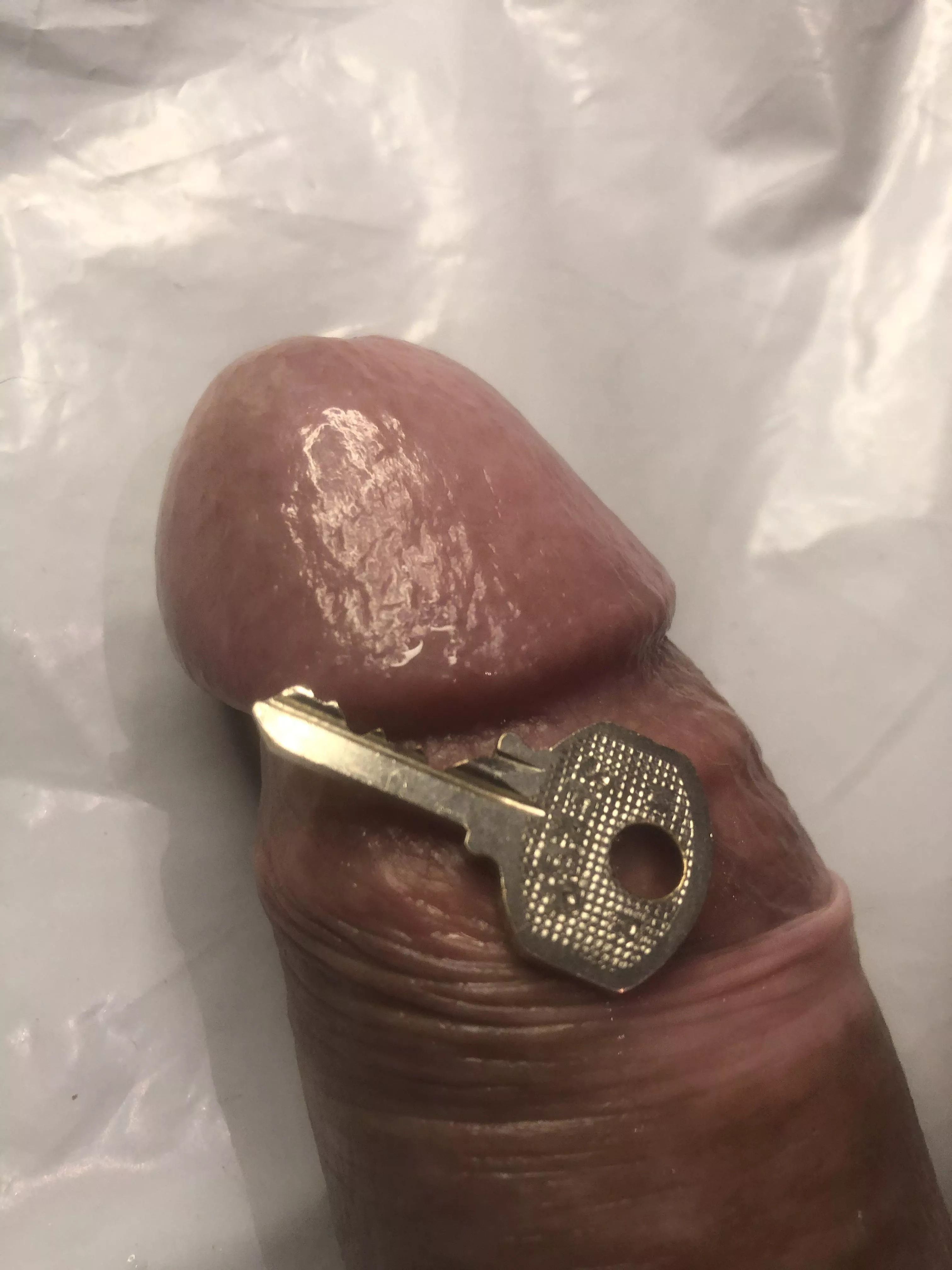 Say good morning if u think u deserve to be caged by Me.🍆➡️🔑🔐🔓🔒🤏