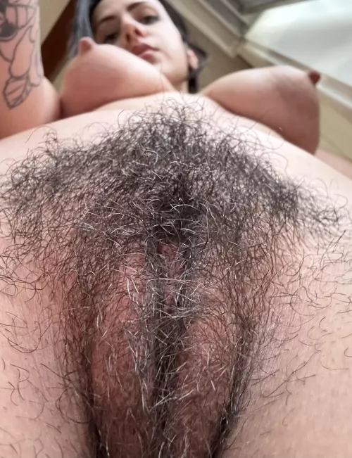 Want this bush on your face?