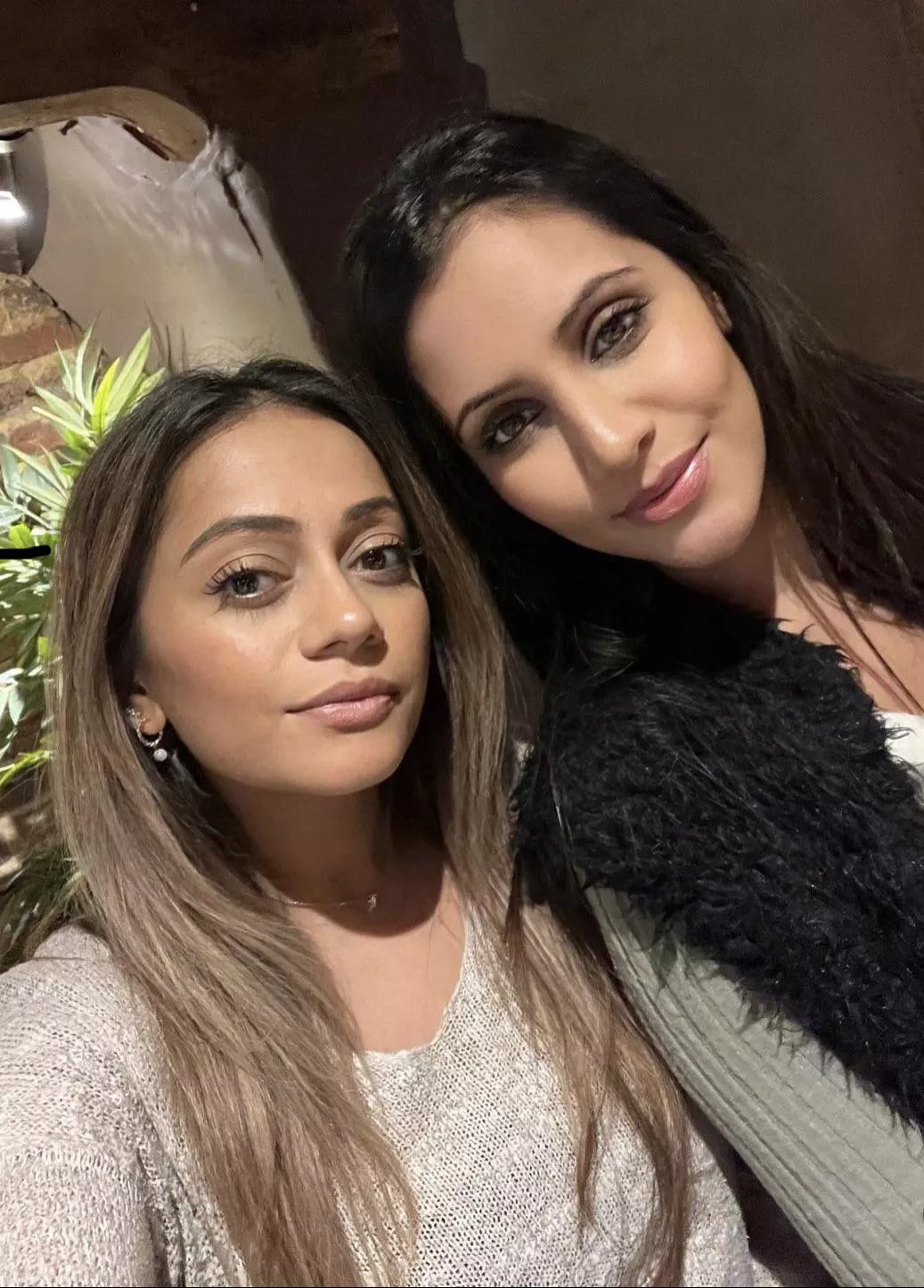 Which one you taking home and what are you doing with them