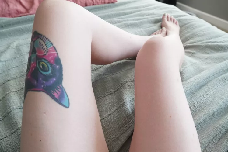 You should be in between these long legs