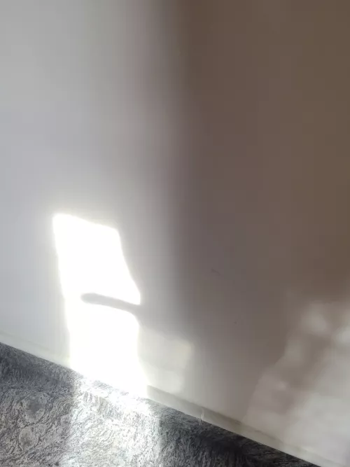 Embracing the sun light through shadow