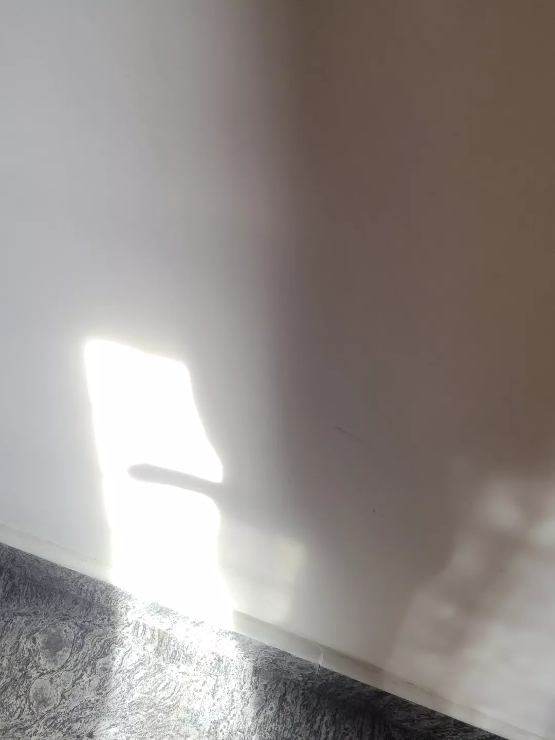 Embracing the sun light through shadow