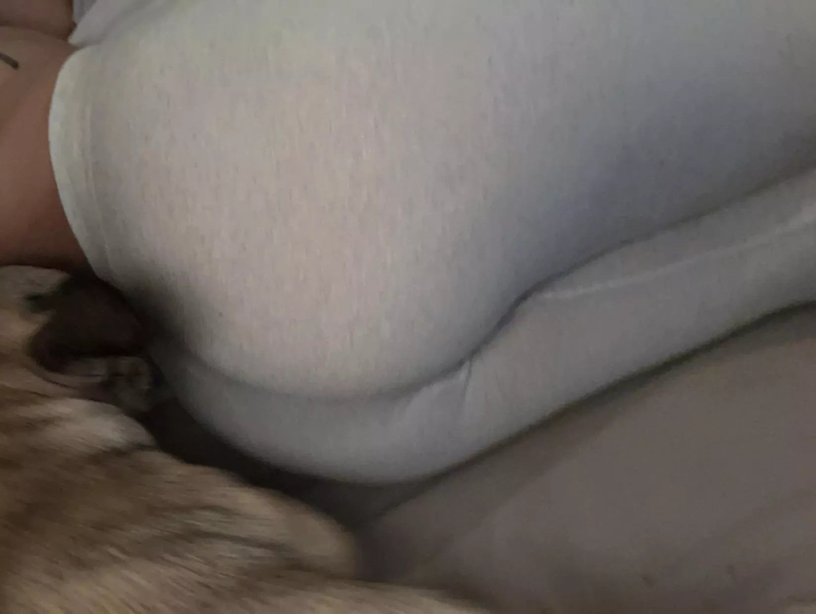 Is it perky in these