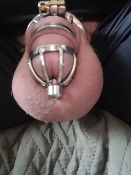 My new cage when I get hard it still gets hard behind the cage and pushes forward, is that normal because Im still new to this? Its actually comfy though.