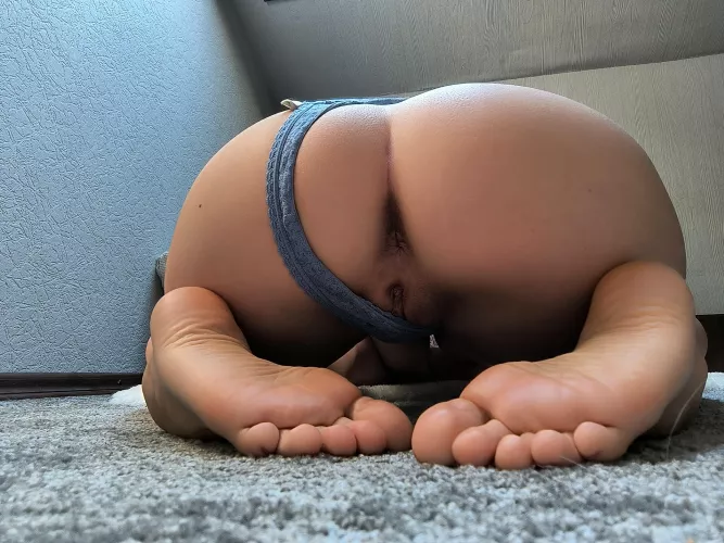 Possibly the best pic of today