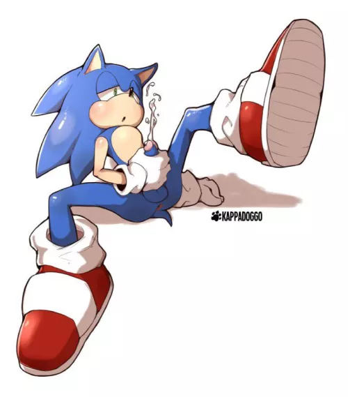 sonic’s alone time [kappadoggo]
