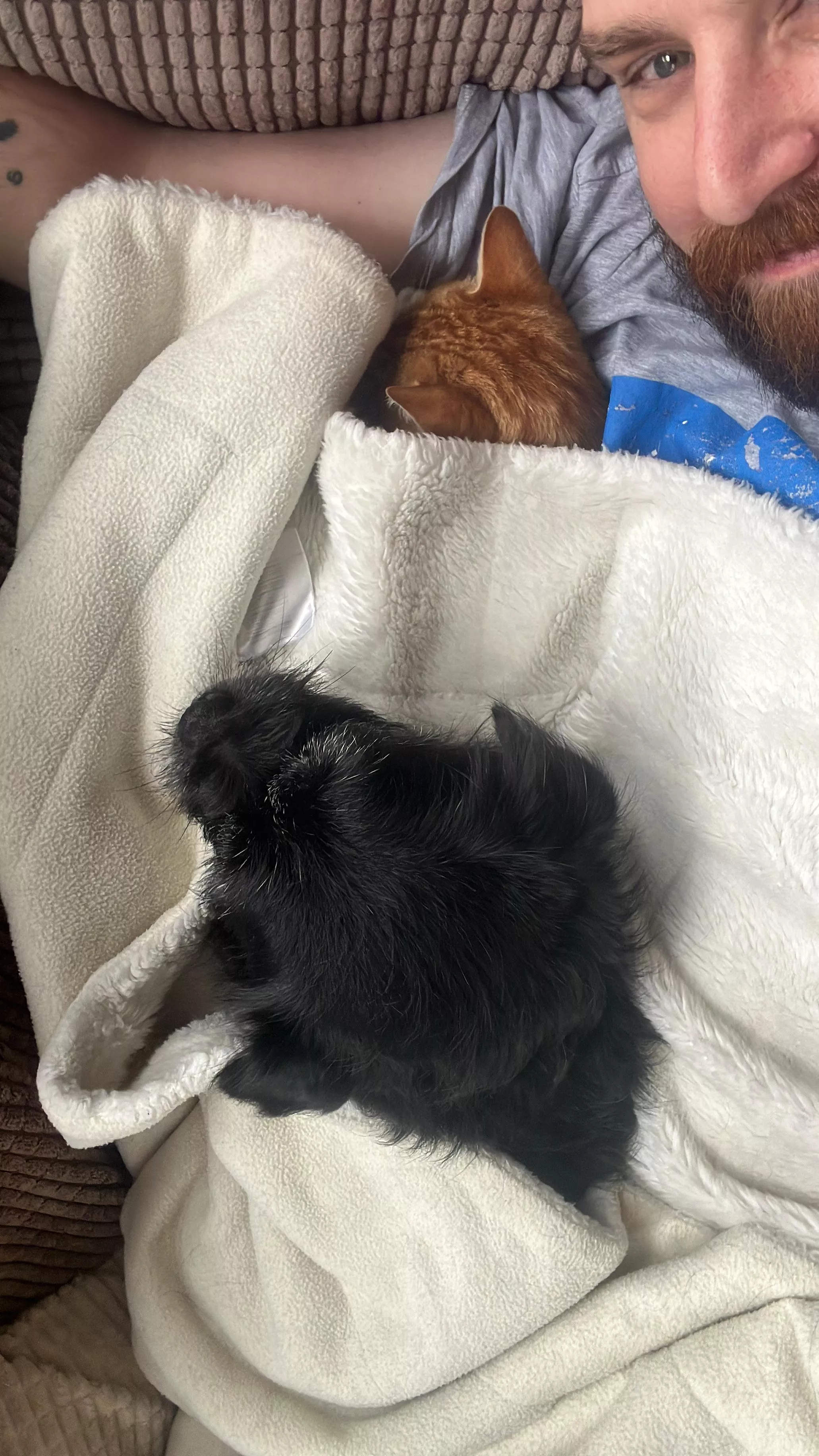 Sundays are for gaming and cuddling on the sofa.