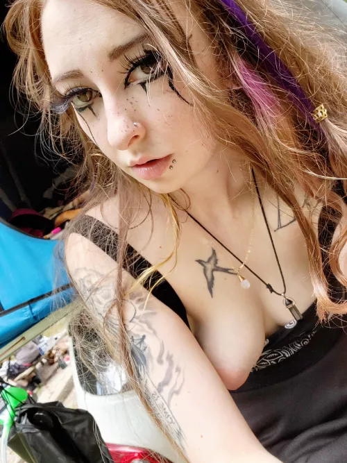 A wild puffy has a appeared