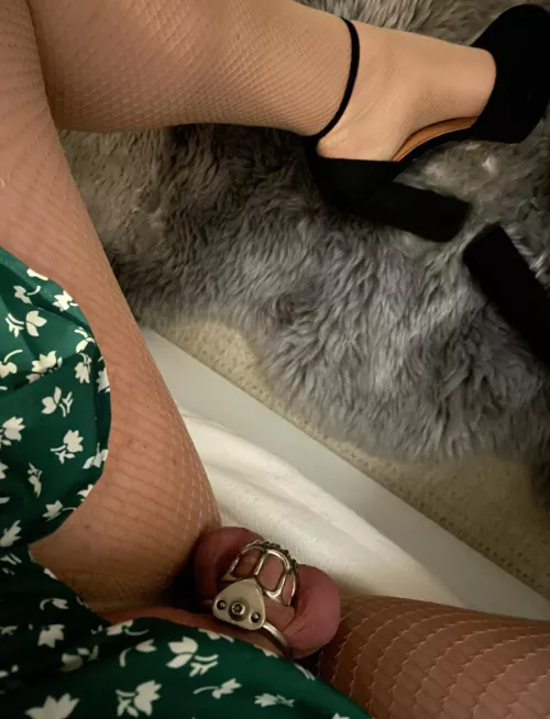 Do you like my new cage?