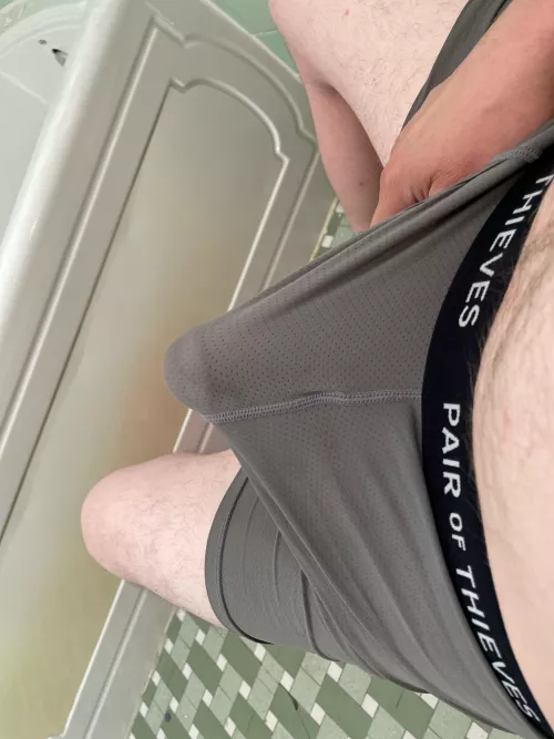 Found this pair or underwear on the ground while out for a walk